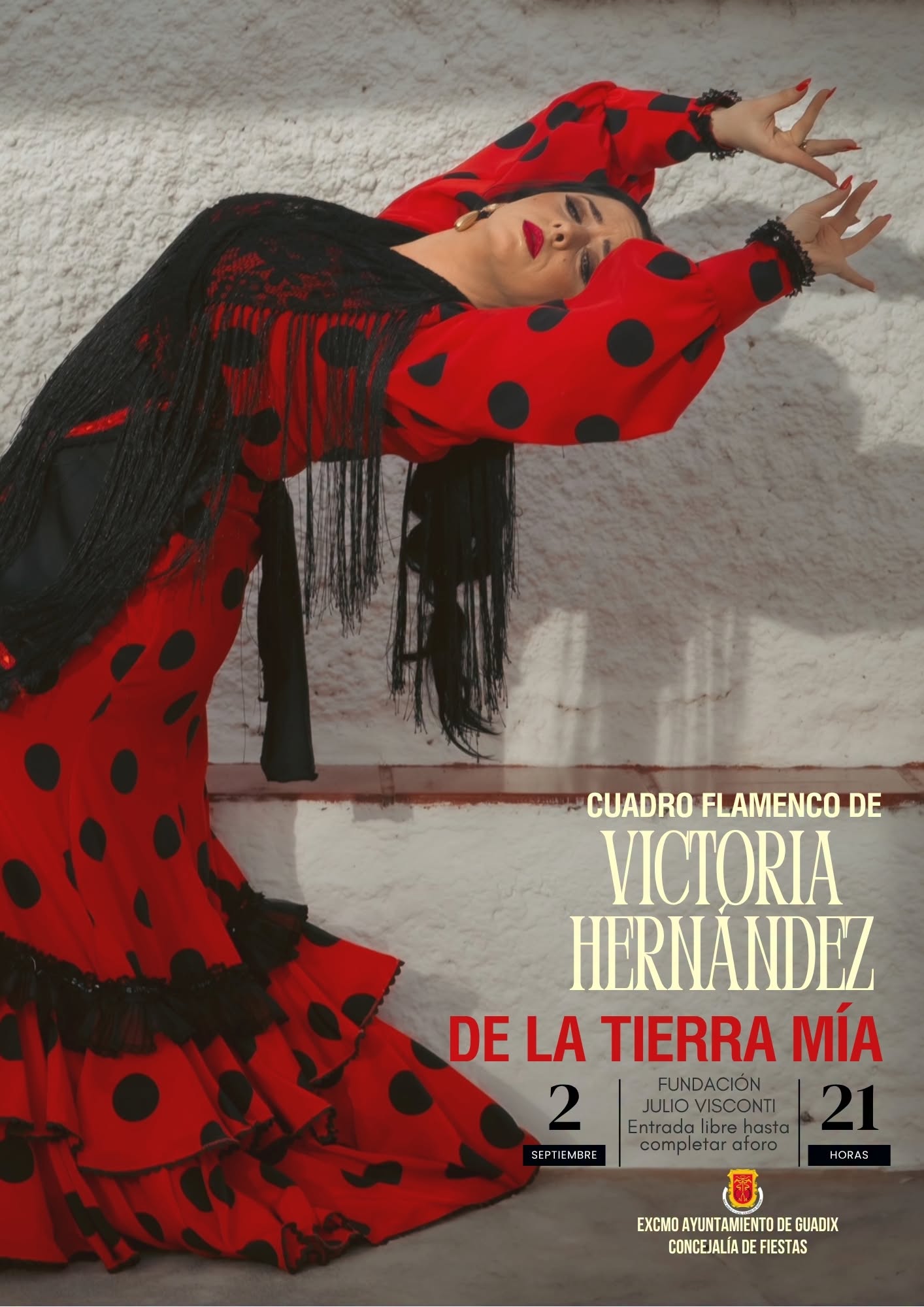 Cuadro flamenco Victoria Hernández Guadix 2026
