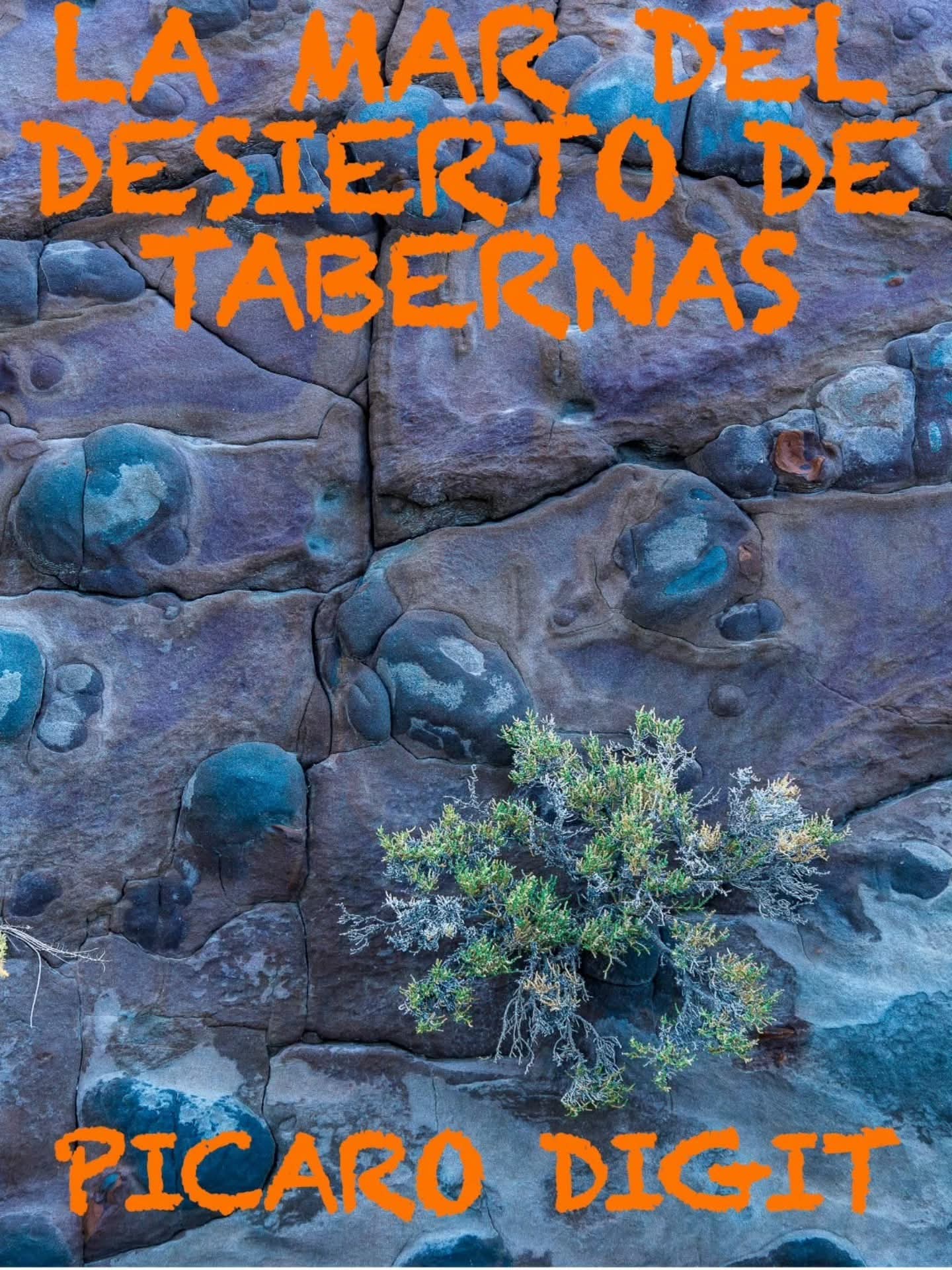 Exposición: Desierto de tabernas. Pícaro Digit
